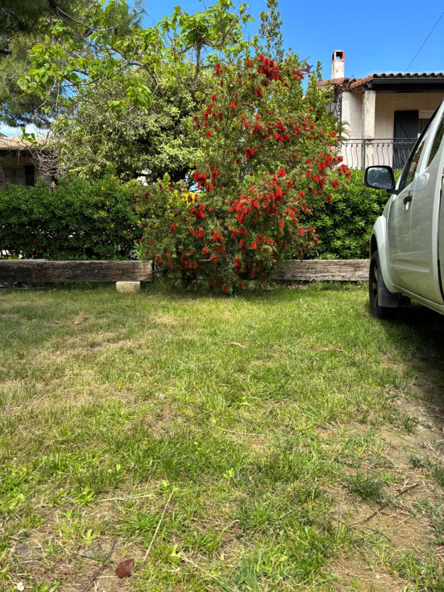 Les Flo Location Apartment Aigues-Mortes Luaran gambar
